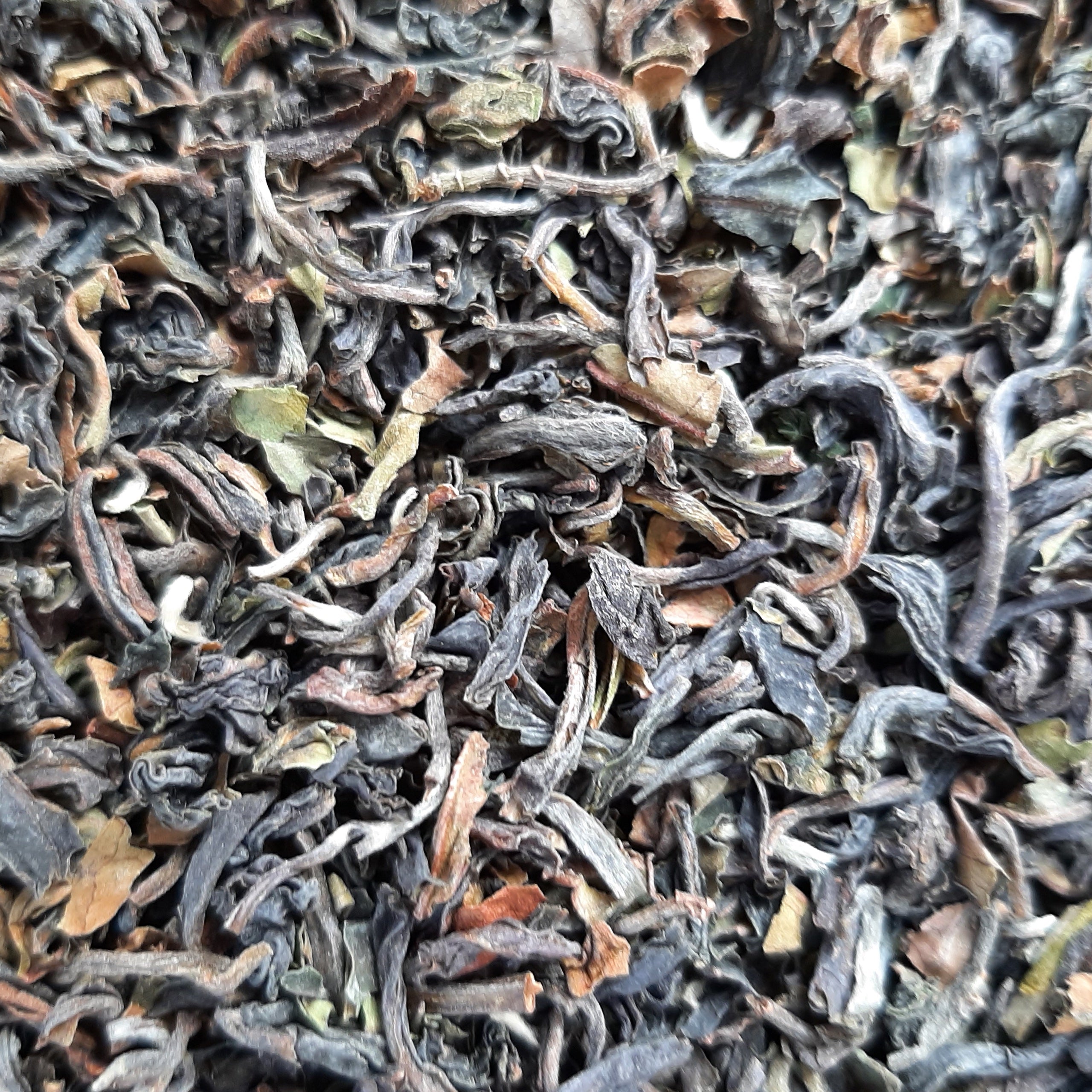 Singbulli First Flush 2023