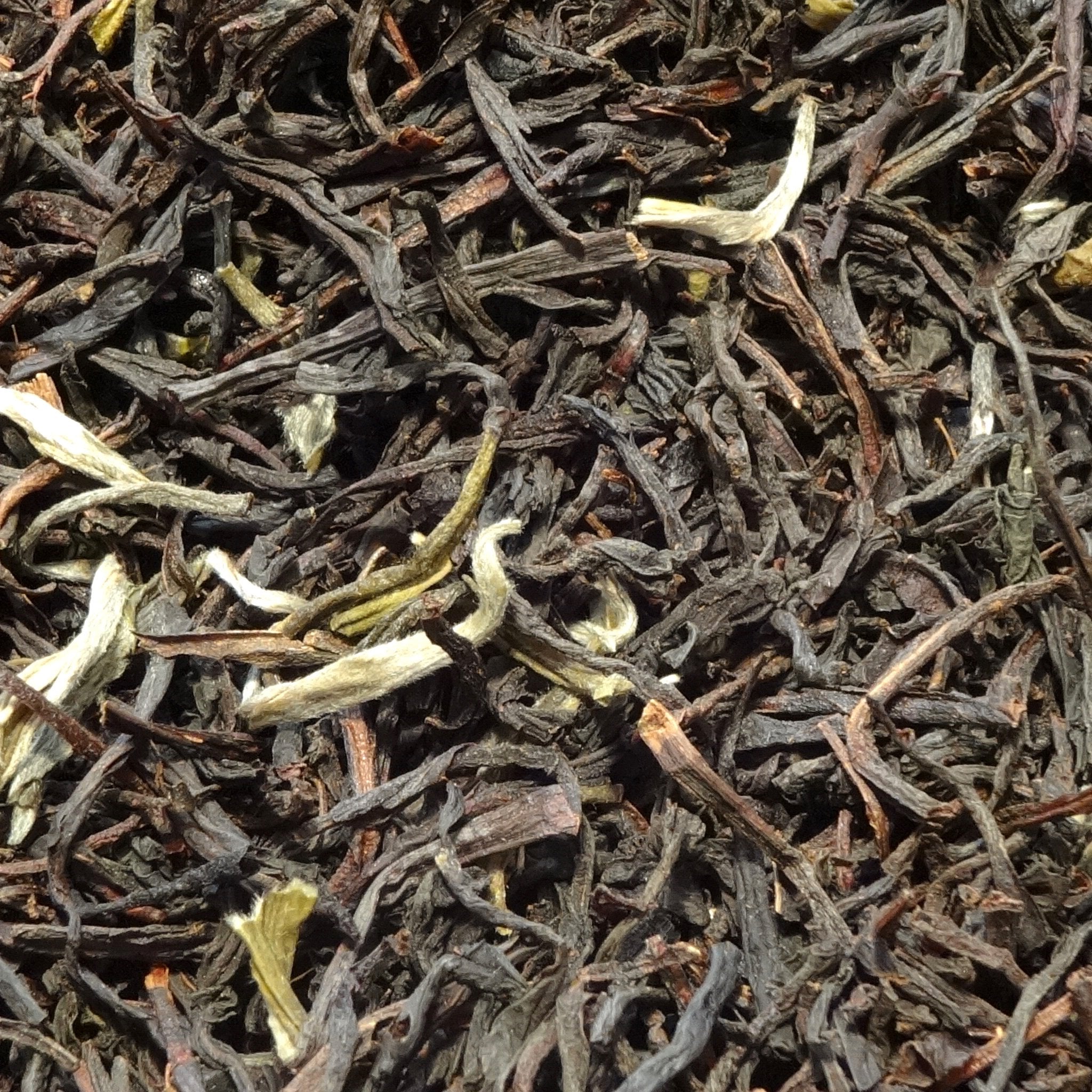 Sir William Wilson (earl grey)