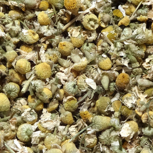 Camomile