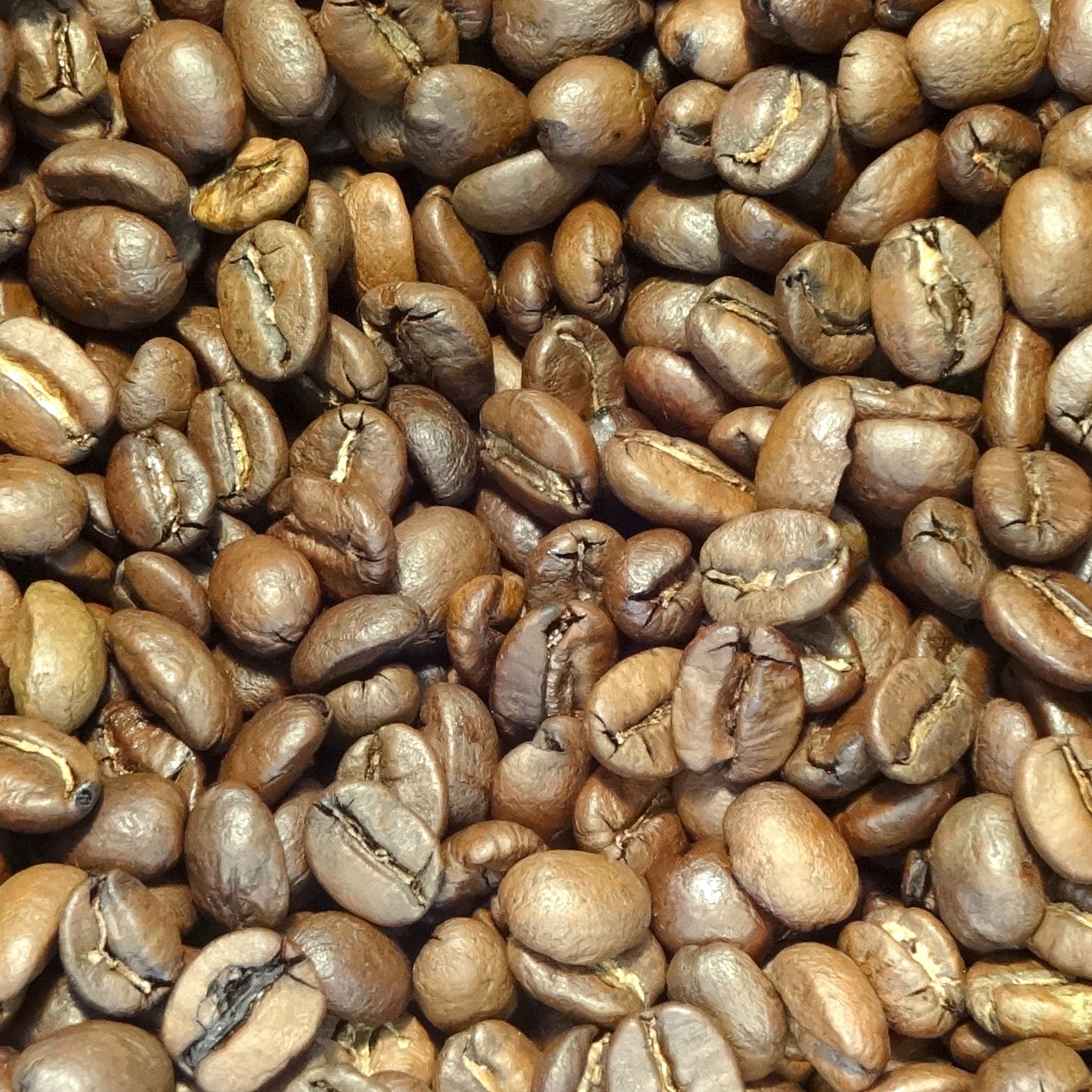 Medium & Honduras
