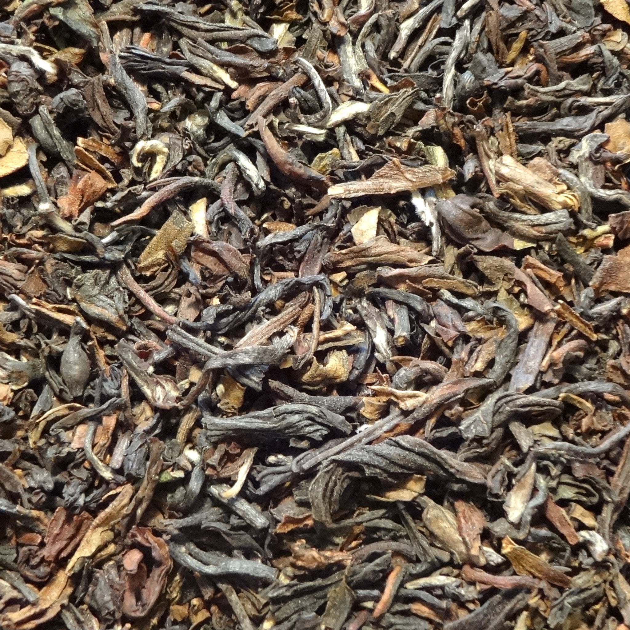 Singell Darjeeling